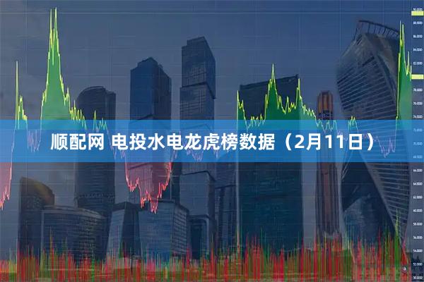 顺配网 电投水电龙虎榜数据（2月11日）