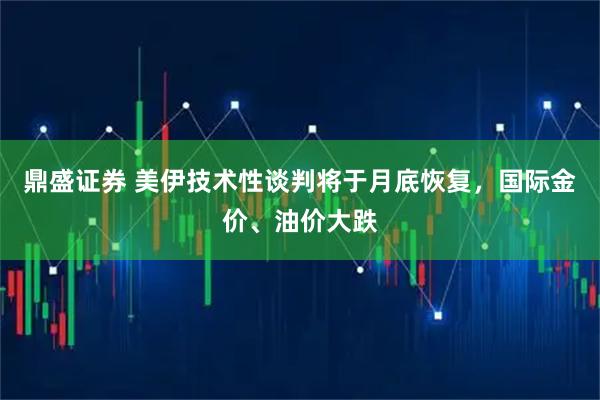 鼎盛证券 美伊技术性谈判将于月底恢复，国际金价、油价大跌