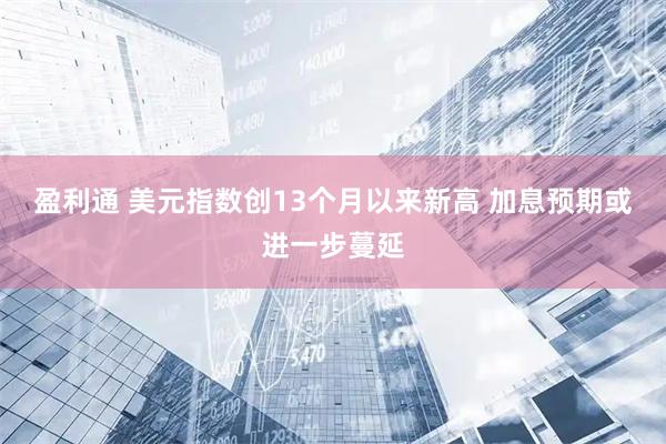 盈利通 美元指数创13个月以来新高 加息预期或进一步蔓延