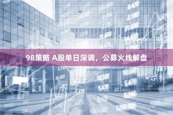 98策略 A股单日深调，公募火线解盘