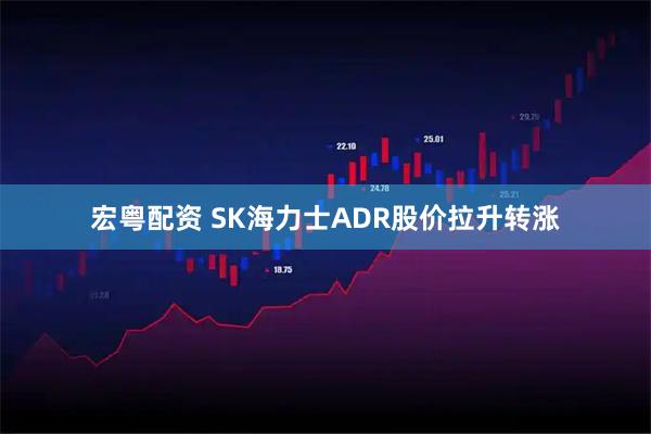 宏粤配资 SK海力士ADR股价拉升转涨