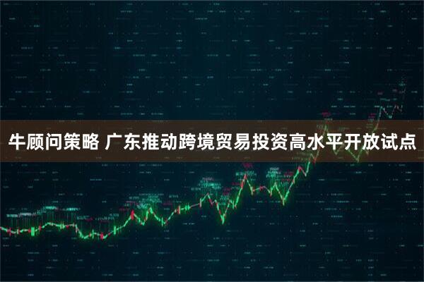 牛顾问策略 广东推动跨境贸易投资高水平开放试点