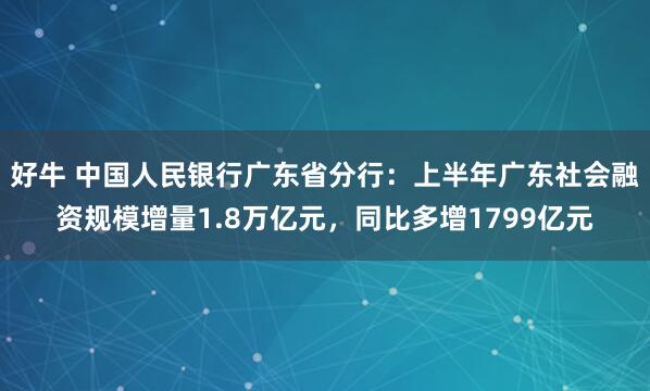好牛 中国人民银行广东省分行：上半年广东社会融资规模增量1.8万亿元，同比多增1799亿元